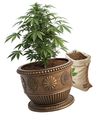 Green Pharmacy Cross